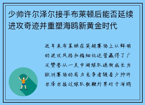 少帅许尔泽尔接手布莱顿后能否延续进攻奇迹并重塑海鸥新黄金时代 少帅许尔泽尔接手布莱顿后能否延续进攻奇迹并重塑海鸥新黄金时代