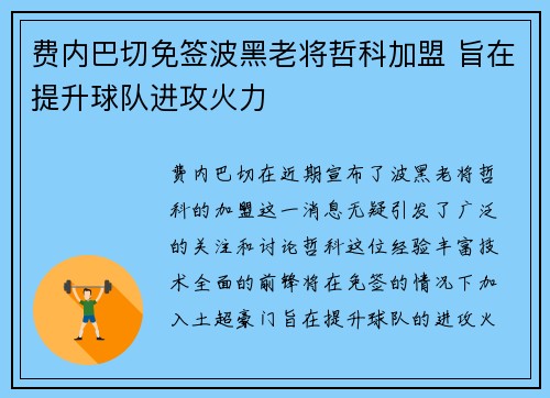 费内巴切免签波黑老将哲科加盟 旨在提升球队进攻火力